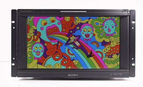 Sony bvm f170a oled - sony,